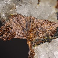Macfallite