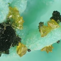 Namibite, Eulytine
