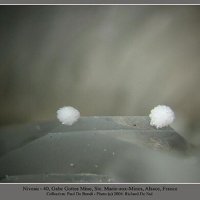 Rauenthalite, Phaunouxite