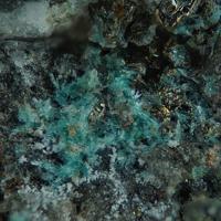 Campigliaite, Chalcopyrite, Gypsum