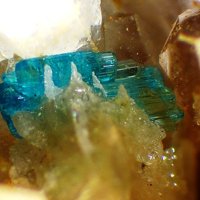 Salesite