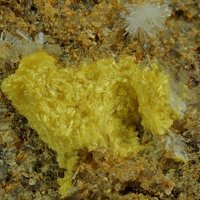 Uranopilite, Gypsum, Sandstone