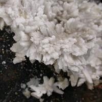 Baryte, Barytocalcite