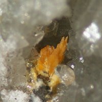 Xanthoxenite
