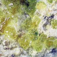 Adolfpateraite, Gypsum