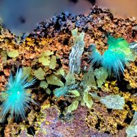 Agardite-(Y)