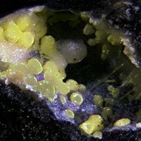 Ecdemite, Thorikosite