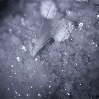 Tacharanite, Phillipsite Subgroup, Natrolite