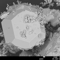Caracolite