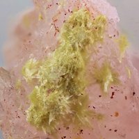 Carlhintzeite