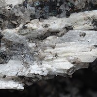 Langhofite