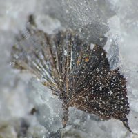 Macfallite