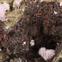 Caryopilite, Calcite, Gageite