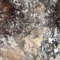 Baksanite, Andradite