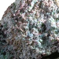 Barahonaite-(Al), Mansfieldite, Conichalcite