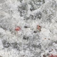 Quartz, Celsian, Gillespite