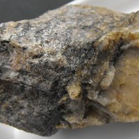 Iimoriite-(Y)