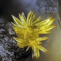 Magnanelliite