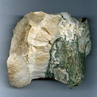 Dalnegorskite, Hedenbergite, Datolite