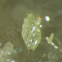 Ottoite