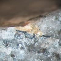 Bafertisite, Aegirine, Quartz