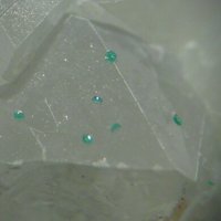 Sabelliite