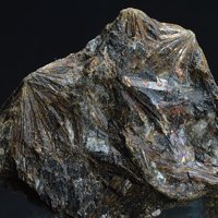 Lamprophyllite