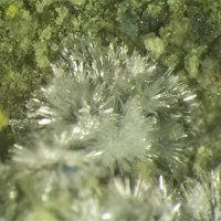 Raydemarkite