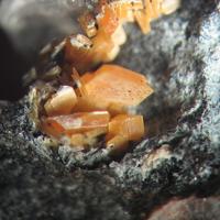 Bazhenovite