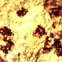 Barnesite