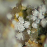 Ottoite