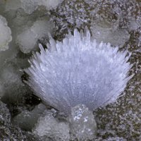 Dachiardite-Ca, Dachiardite-Na, Chalcedony