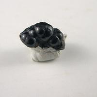 Baddeleyite