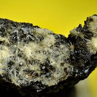Canavesite, Dypingite