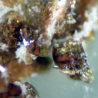 Jahnsite-(MnMnMg)