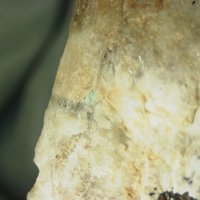 Nasonite