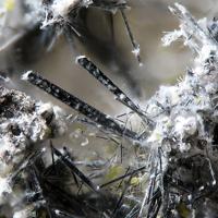 Cannonite, Bismuthinite