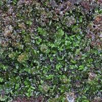 Bayldonite, Mixite