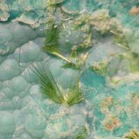Calciopetersite, Chrysocolla