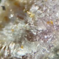 Camaronesite