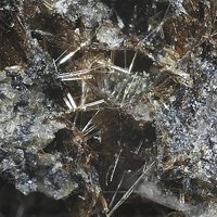 Kalsilite