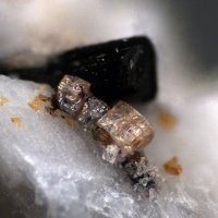 Dalyite