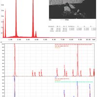 Oyelite