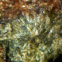 Cavoite