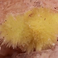 Carlhintzeite