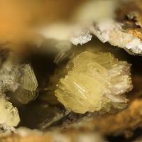 Calcioferrite