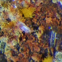Rabejacite, Gypsum, Vandendriesscheite