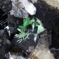 Ulrichite