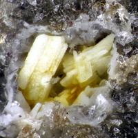 Bazhenovite