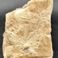 Carpholite